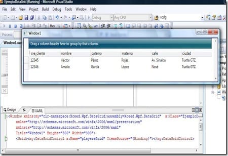 datagrid3