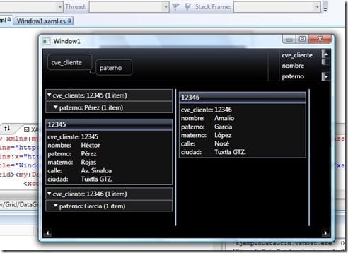 datagrid6
