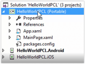 Estructura proyecto tipo PCL