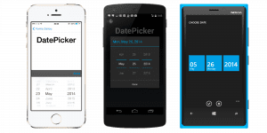 DatePicker